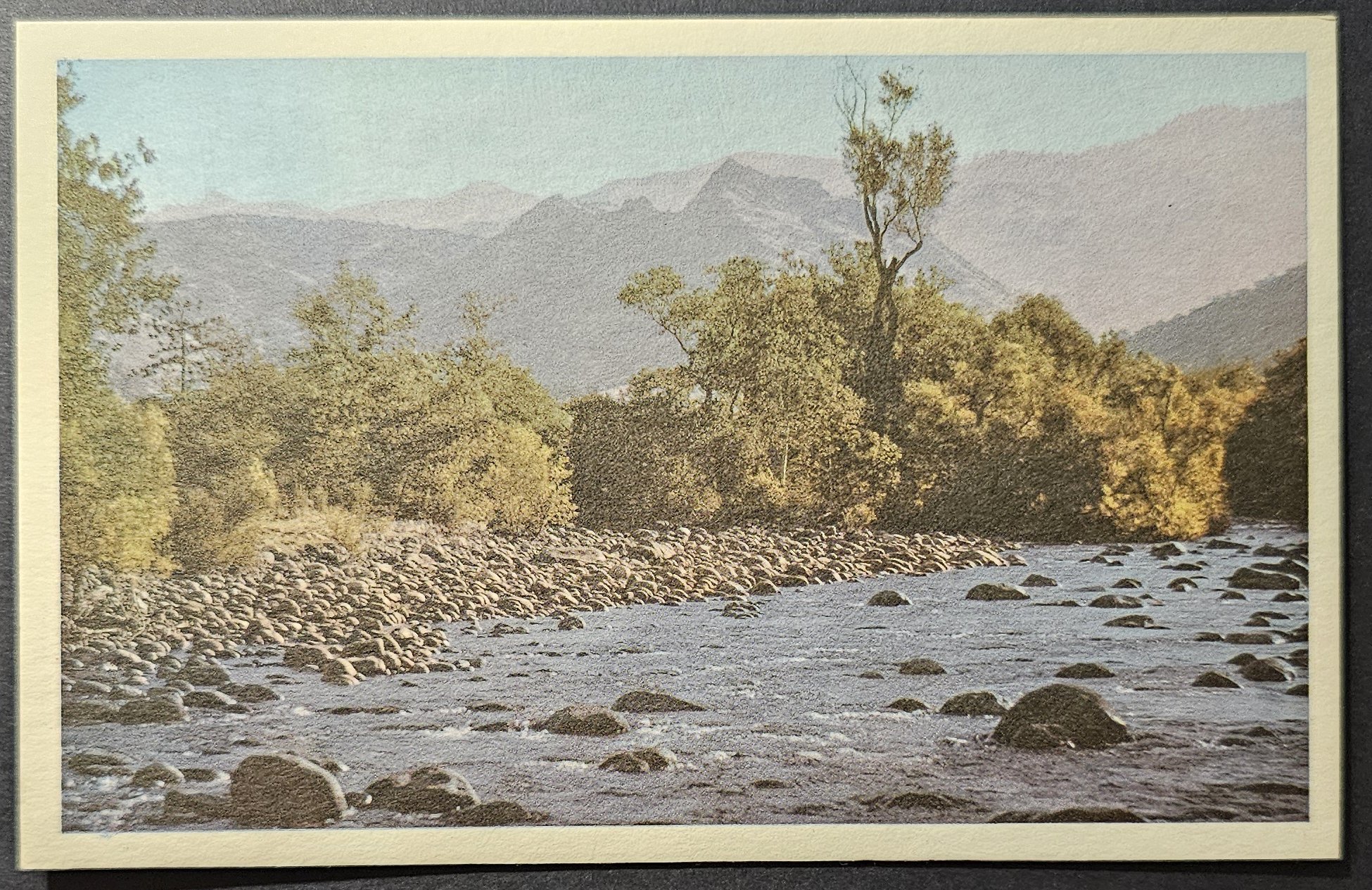 (image for) postcard USA - CA - California #0077